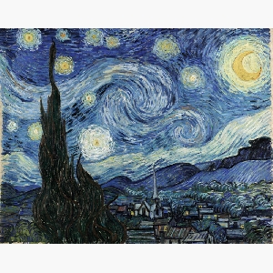 Starry Night (canvas)