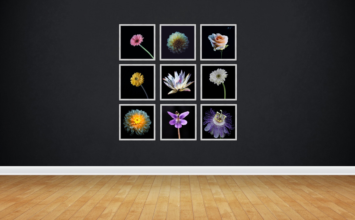 Design and visualize frame clusters