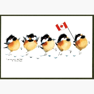 Canadian Chicks